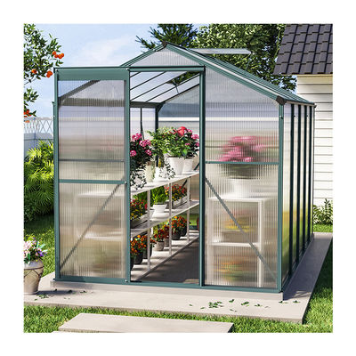 10x6 ft Transparent Garden Greenhouse Polycarbonate with 2 Vents Shed Type Transparent