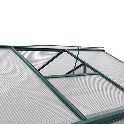 10x6 ft Transparent Garden Greenhouse Polycarbonate with 2 Vents Shed Type Transparent