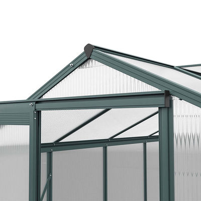 10x6 ft Transparent Garden Greenhouse Polycarbonate with 2 Vents Shed Type Transparent