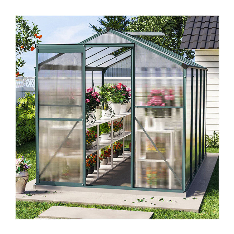 10x6 ft Transparent Garden Greenhouse Polycarbonate with 2 Vents Shed Type Transparent